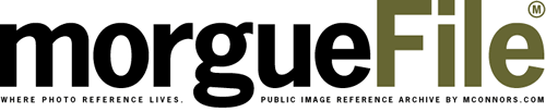 MorgueFile